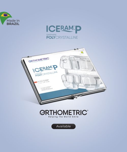 Root Dent Adv 6 Post theme-01